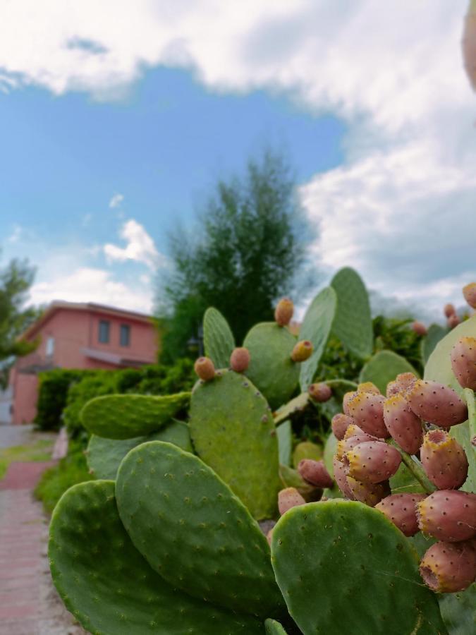 Agriturismo - B&B "La Funicolare" Francavilla Marittima Экстерьер фото