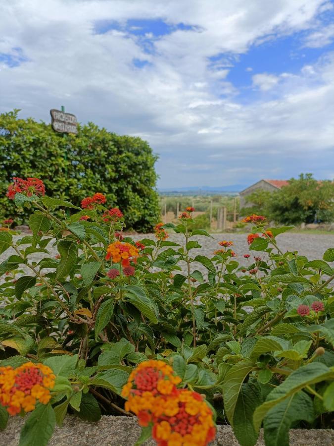 Agriturismo - B&B "La Funicolare" Francavilla Marittima Экстерьер фото