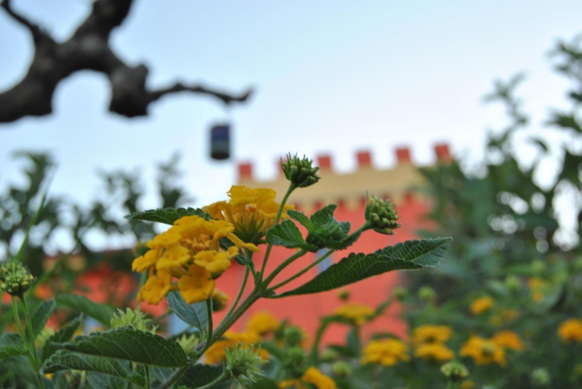 Agriturismo - B&B "La Funicolare" Francavilla Marittima Экстерьер фото